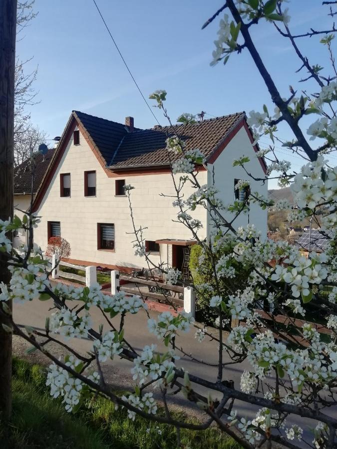 Fewo Maedi Windeck Kültér fotó